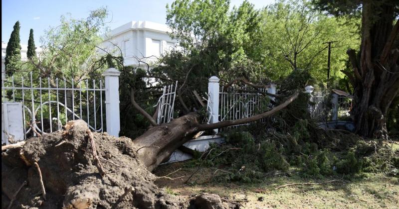 Fuerte temporal dejoacute 13 muertos en Bahiacutea Blanca