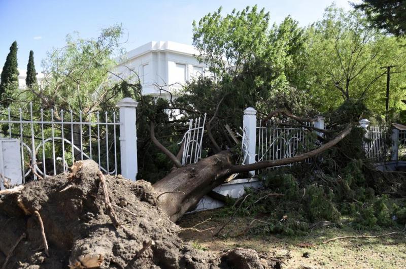 Fuerte temporal dejoacute 13 muertos en Bahiacutea Blanca