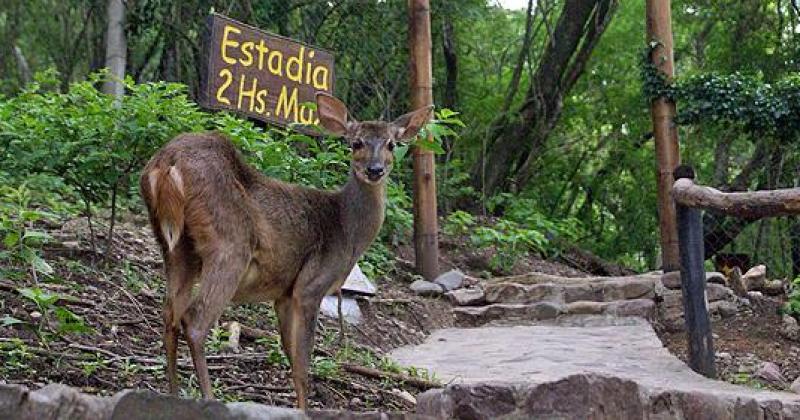 Parque Botaacutenico Municipal integra el Sistema de Aacutereas Naturales Protegidas