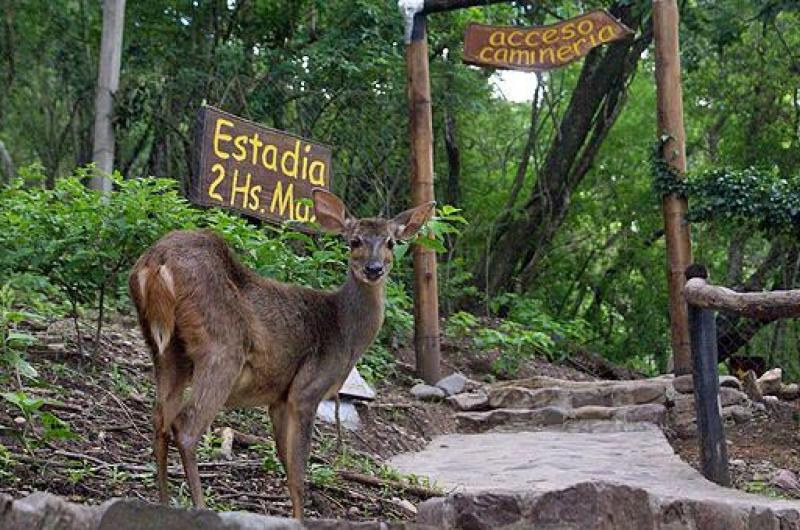 Parque Botaacutenico Municipal integra el Sistema de Aacutereas Naturales Protegidas