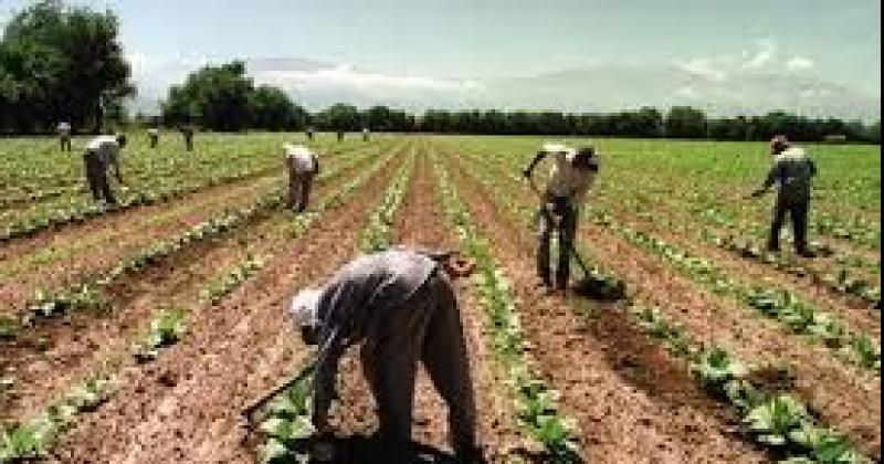 Trabajadores rurales piden a legisladores nacionales que rechacen el DNU Nordm 7023