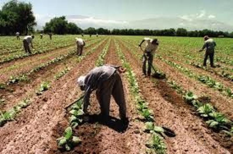 Trabajadores rurales piden a legisladores nacionales que rechacen el DNU Nordm 7023