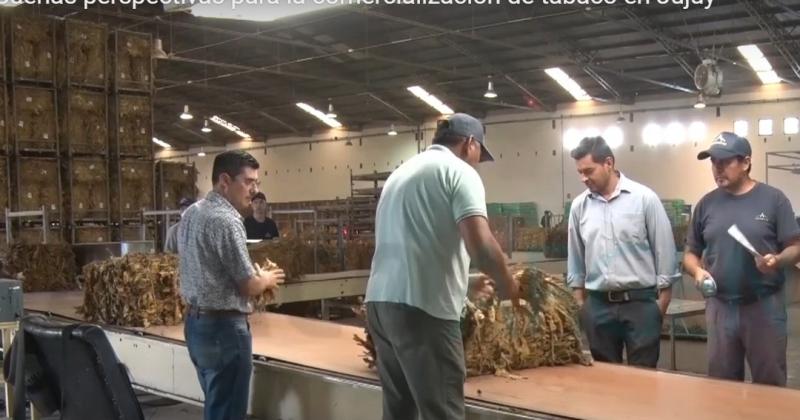 Eneacutergica reaccioacuten a la fijacioacuten unilateral del precio de tabaco 