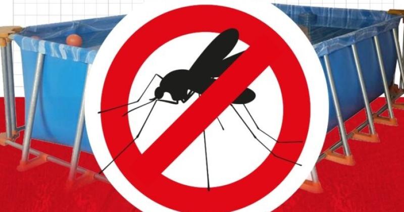 Cuidado y prevencioacuten ante lluvias y proliferacioacuten de mosquitos