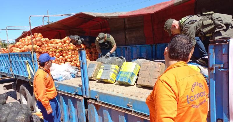 Incautaron un cargamento reacutecord de 861 kilos de cocaiacutena ocultos en zapallos