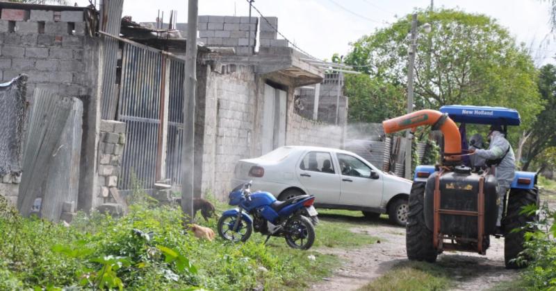 En la uacuteltima semana se registroacute 2956 nuevos casos de dengue