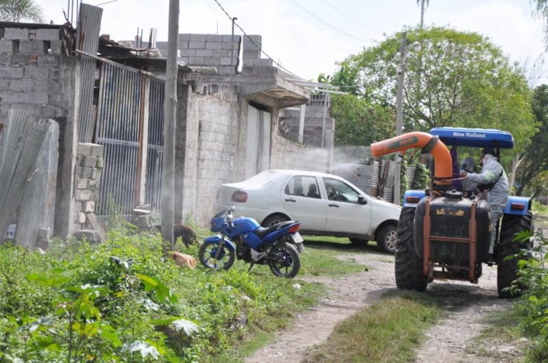 En la uacuteltima semana se registroacute 2956 nuevos casos de dengue