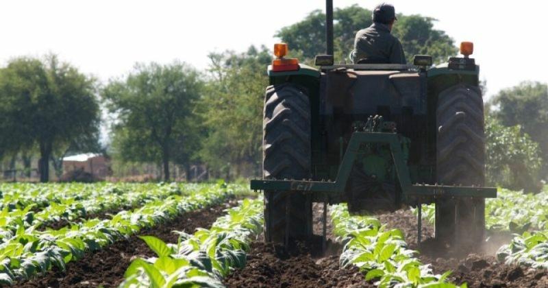 Jujuy destacoacute que se haya incorporado en la Ley de Bases el capiacutetulo del tabaco