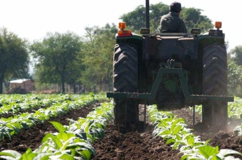 Jujuy destacoacute que se haya incorporado en la Ley de Bases el capiacutetulo del tabaco