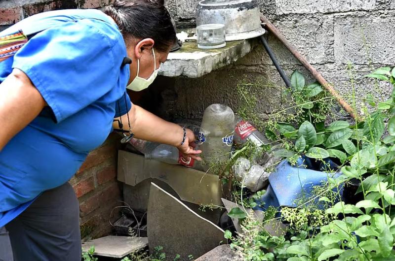 Dengue- bajan los casos en el paiacutes y en Jujuy se presentan 17508 casos