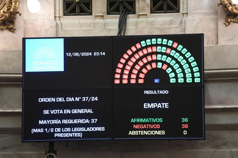 Ley Bases- el Senado aproboacute el mega proyecto en general 