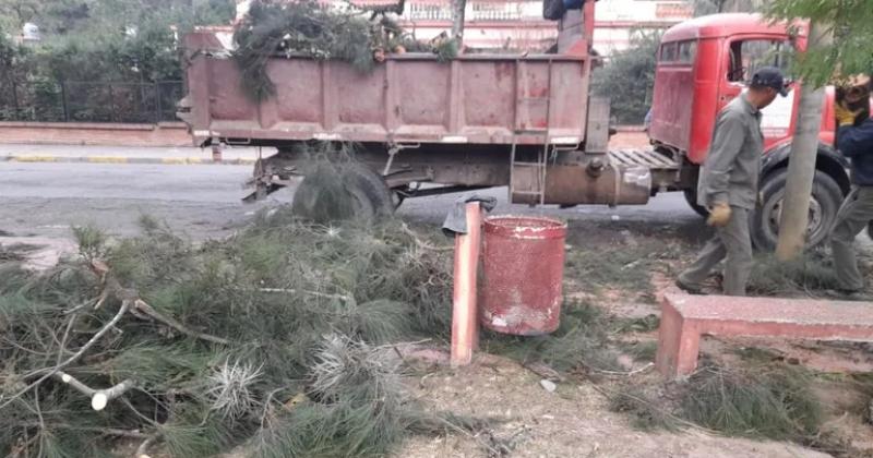 Viento norte con caiacuteda de postes voladura de chapas y cortes de luz