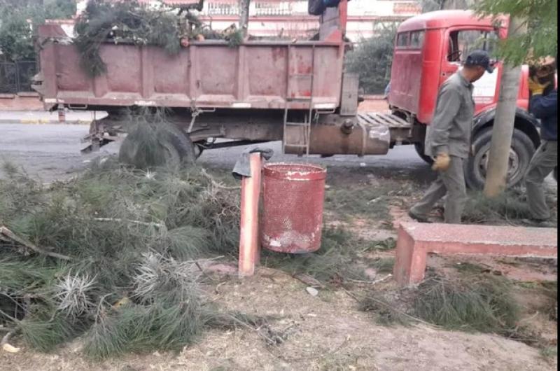 Viento norte con caiacuteda de postes voladura de chapas y cortes de luz