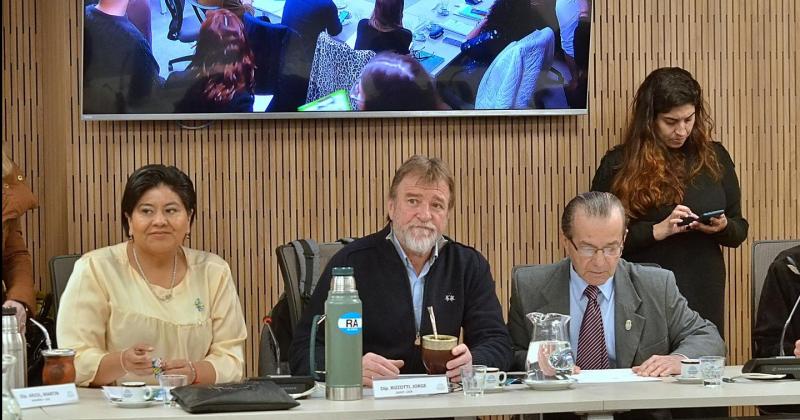 Comisioacuten de Transporte dictaminariacutea sobre un Fondo Federal Compensador