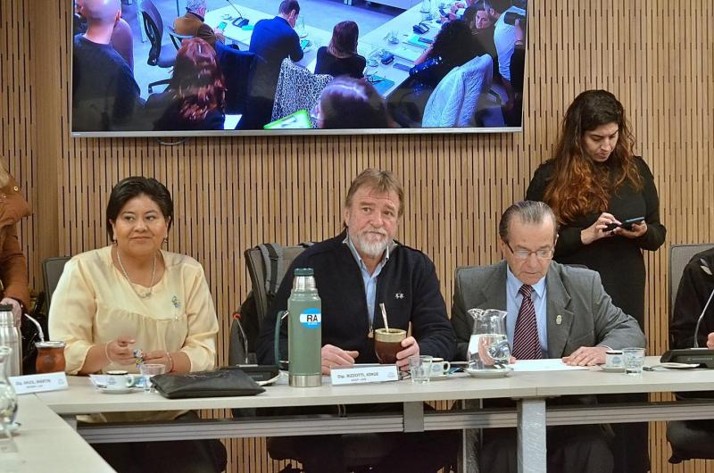 Comisioacuten de Transporte dictaminariacutea sobre un Fondo Federal Compensador
