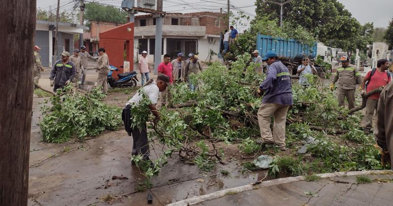 Continuacutean los trabajos de limpieza y extraccioacuten de aacuterboles caiacutedos en Libertador General San Martiacuten