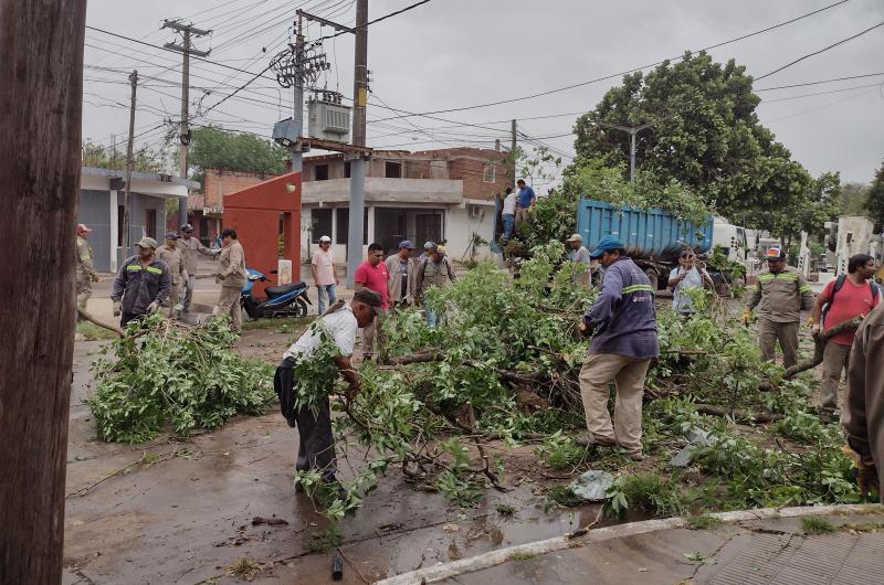 Continuacutean los trabajos de limpieza y extraccioacuten de aacuterboles caiacutedos en Libertador General San Martiacuten
