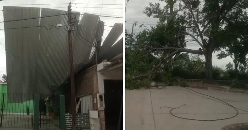 Caiacuteda de aacuterboles postes y voladuras de chapas dejoacute un temporal en San Pedro