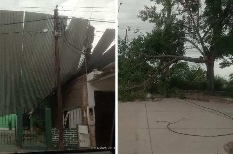Caiacuteda de aacuterboles postes y voladuras de chapas dejoacute un temporal en San Pedro