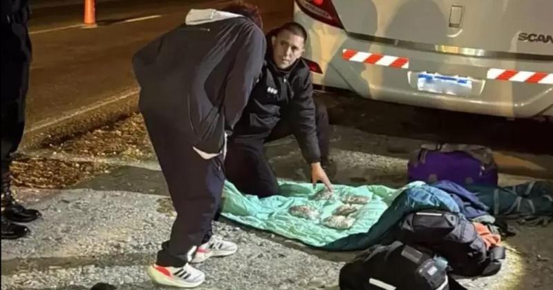 Secuestraron droga y maacutes de 200 celulares en colectivo que partioacute de Jujuy