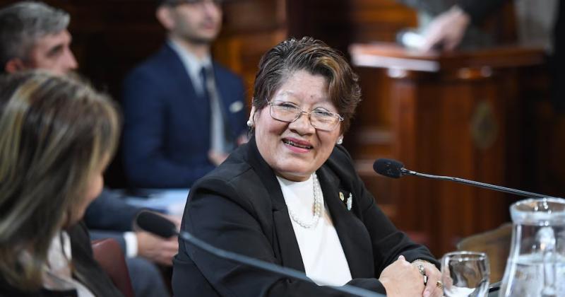 Bedia echoacute a asesores y mantiene la Pyme familiar en el Senado