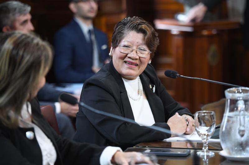 Bedia echoacute a asesores y mantiene la Pyme familiar en el Senado