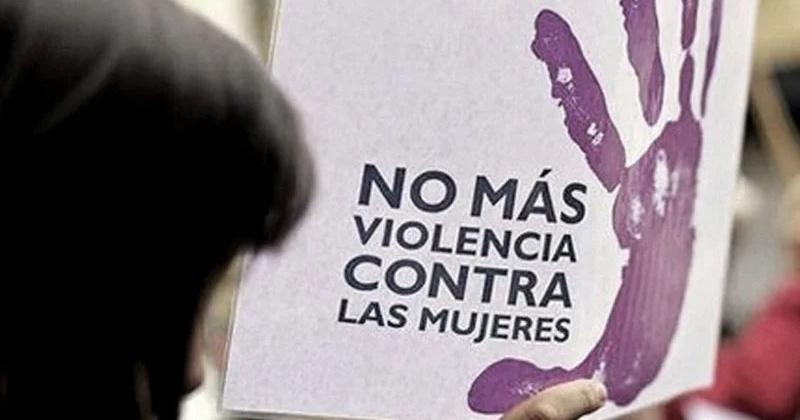 El Gobierno eliminoacute programas contra la violencia de geacutenero