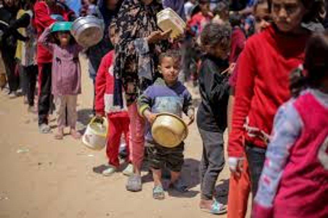 Ayuda que llega a Gaza cubre menos del uno por ciento de las necesidades de la poblacioacuten