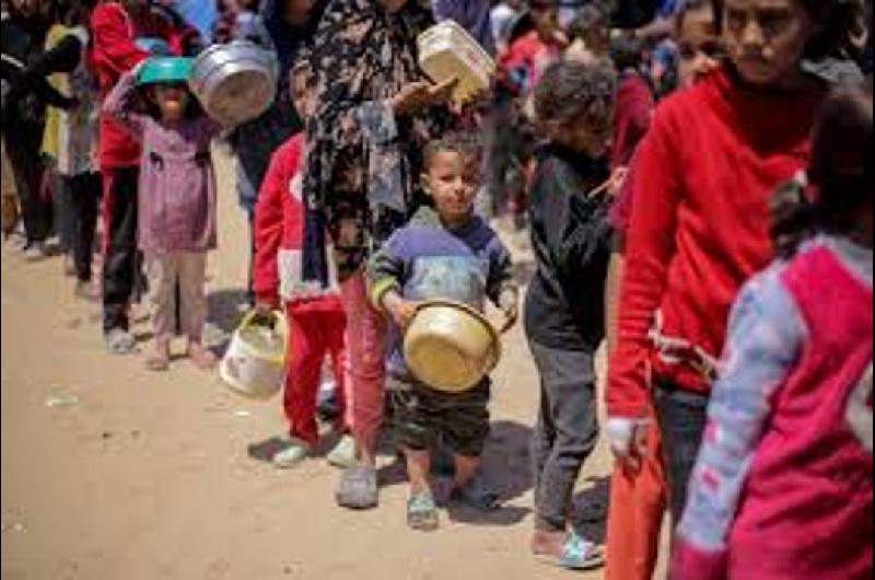 Ayuda que llega a Gaza cubre menos del uno por ciento de las necesidades de la poblacioacuten