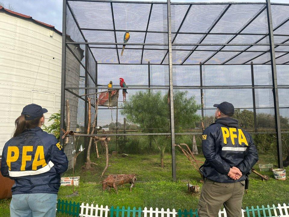 Rescataron de un zooloacutegico clandestino a animales en cautiverio