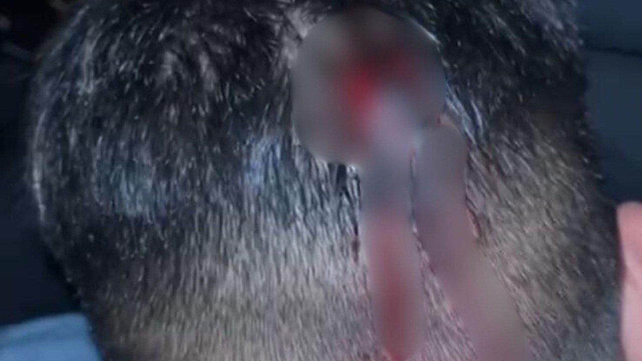 Violenta patota atacoacute a dos joacutevenes a la salida de una fiesta en La Plata