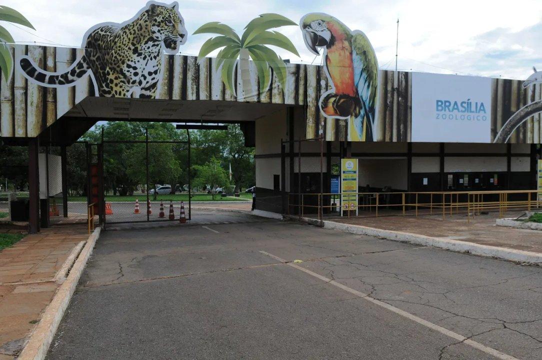 Brasilia cierra el zooloacutegico y despliega una barrera sanitaria preventiva ante la gripe aviar