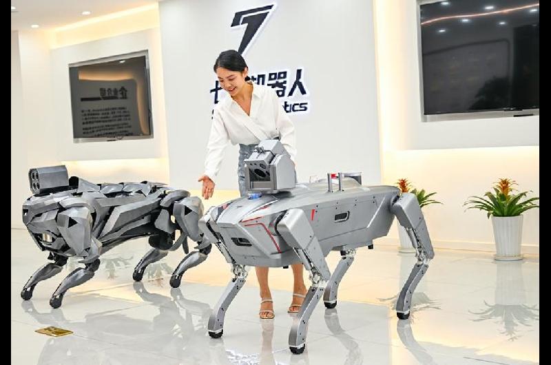 China presentoacute maacutes robots- cuadruacutepedos a prueba de explosiones