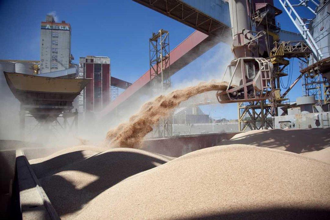 Cuaacutentos doacutelares liquidoacute el campo en mayo