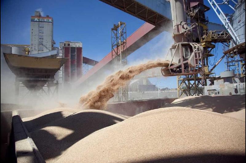 Cuaacutentos doacutelares liquidoacute el campo en mayo