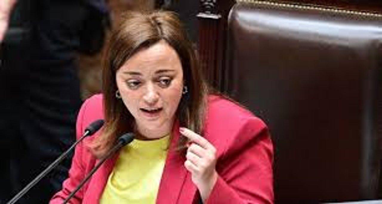 Cecilia Moreau dijo que agredir a Ian Moche fue el colmo de la violencia de Milei