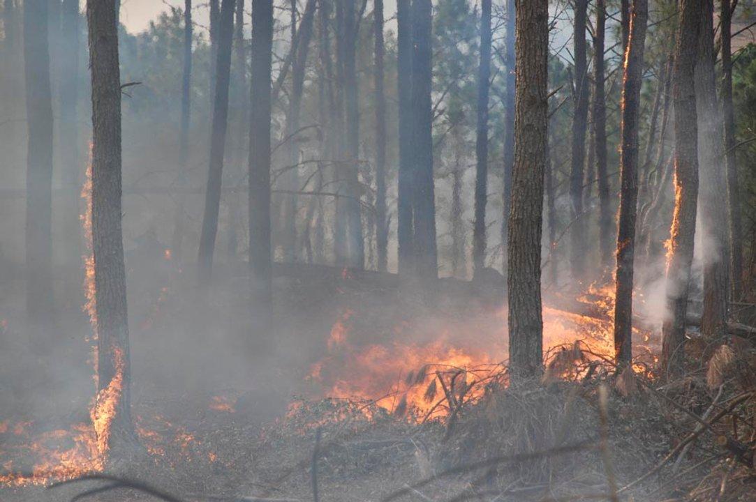 Coacuterdoba- declaran el estado de alerta ambiental por riesgo de incendios 