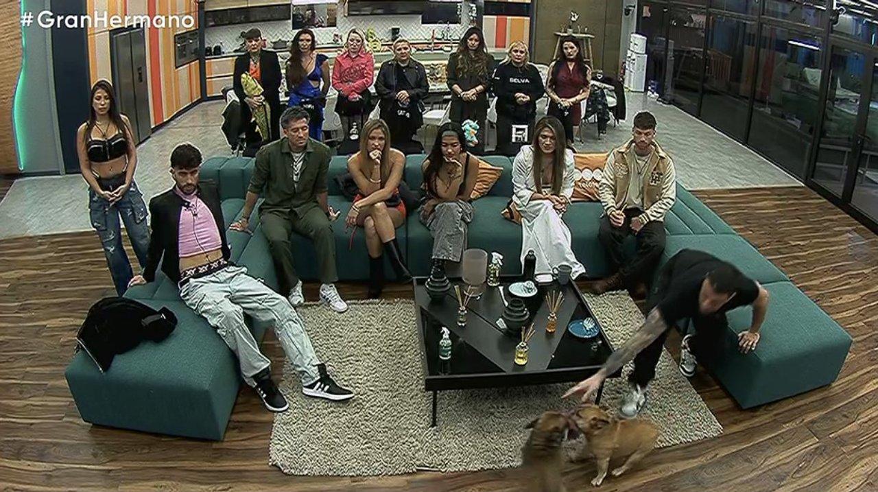 Gran Hermano abrioacute una nueva placa- coacutemo es el juego de exparticipantes coacutemo se vota y cuaacutendo se va el uacuteltimo