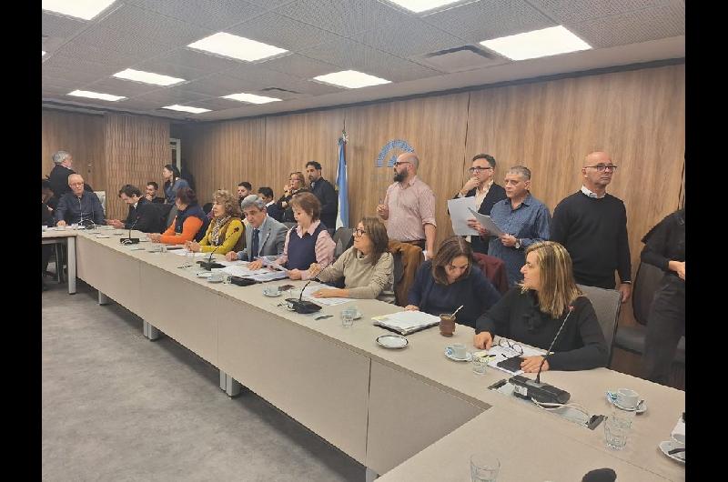 Diputados avanza con dictaacutemenes para declarar la emergencia en el Hospital Garrahan por dos antildeos