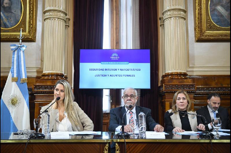 Avanza en el Senado la unificacioacuten de leyes sobre personas desaparecidas y el sistema de Alerta Sofiacutea