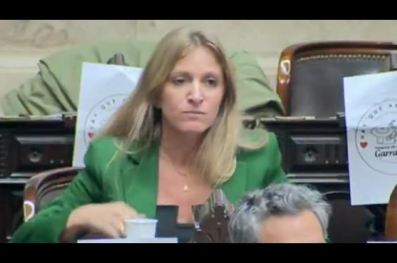 Desatada una diputada K dijo que Milman estuvo dopado y acusoacute de gato a una legisladora libertaria