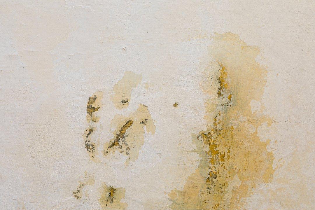 Ni cerecita ni membrana liacutequida- esto es lo que realmente funciona para erradicar la humedad de la pared