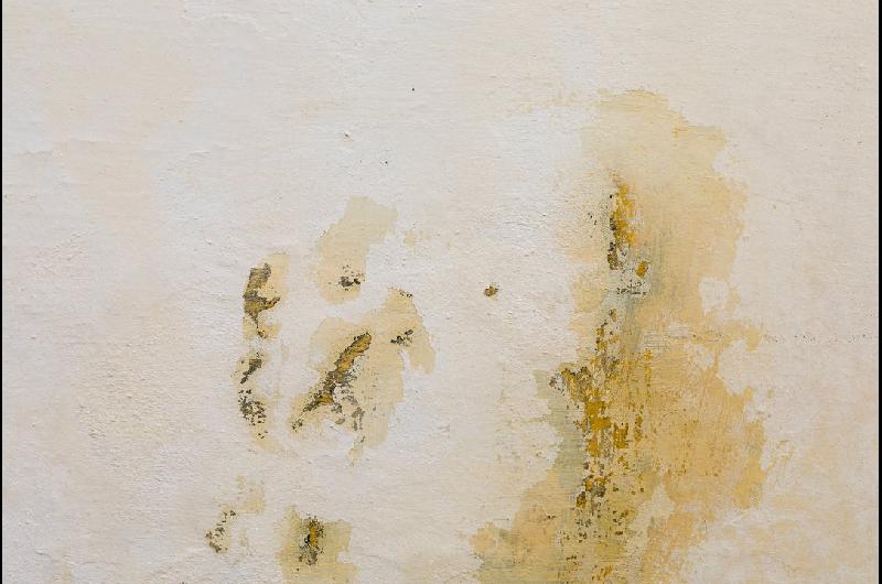 Ni cerecita ni membrana liacutequida- esto es lo que realmente funciona para erradicar la humedad de la pared