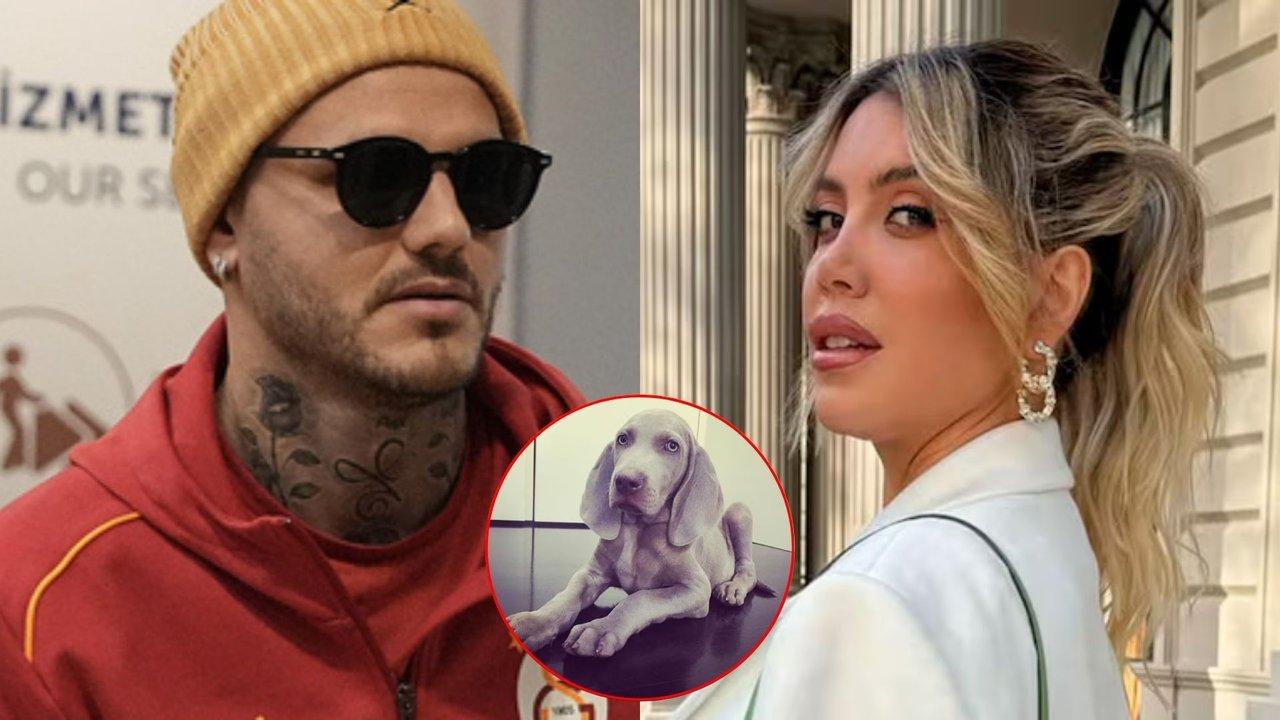 La fuerte acusacioacuten de Wanda Nara a Mauro Icardi sobre un perro de la familia- ldquoLo prendioacute fuego
