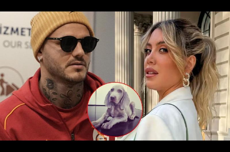 La fuerte acusacioacuten de Wanda Nara a Mauro Icardi sobre un perro de la familia- ldquoLo prendioacute fuego