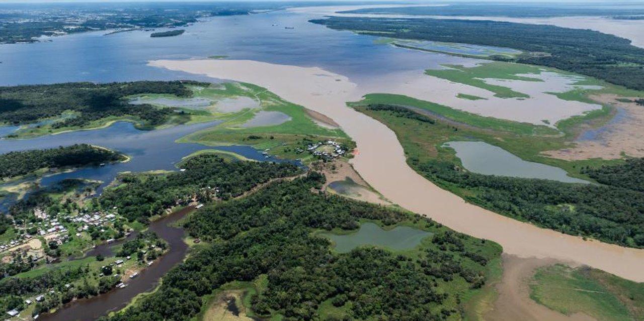 Aumentoacute la deforestacioacuten en la Amazonia durante el mes de mayo