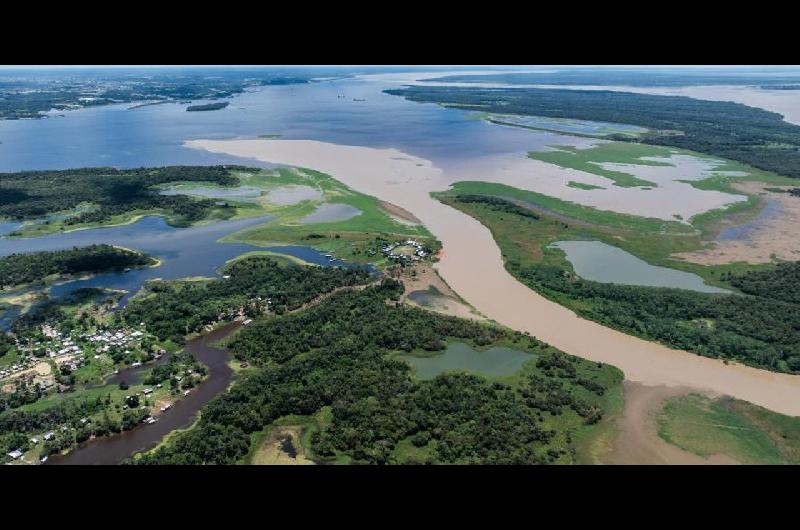 Aumentoacute la deforestacioacuten en la Amazonia durante el mes de mayo