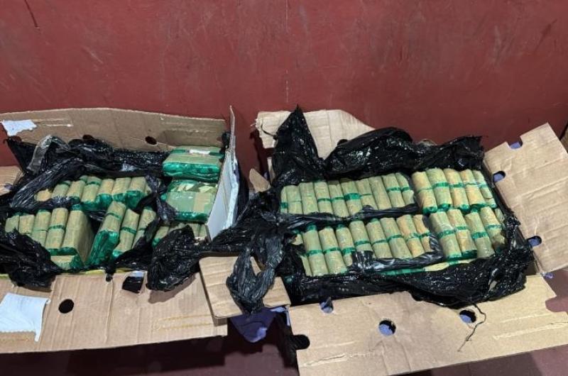 Secuestran 70 kilos de hojas de coca en Tucumaacuten 20 de ellas proveniacutean de Jujuy