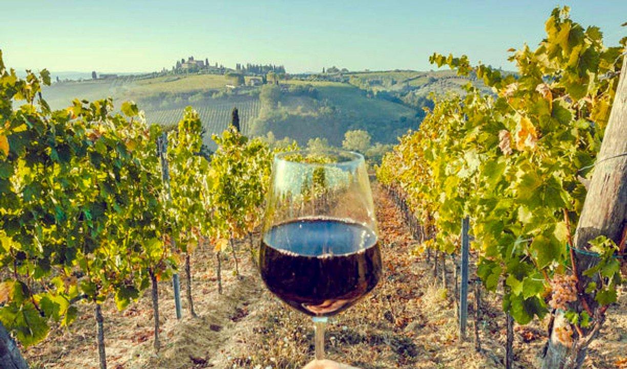 Tomar un vino en la Toscana italiana sale maacutes barato que en la Argentina- precios actualizados a junio 2025