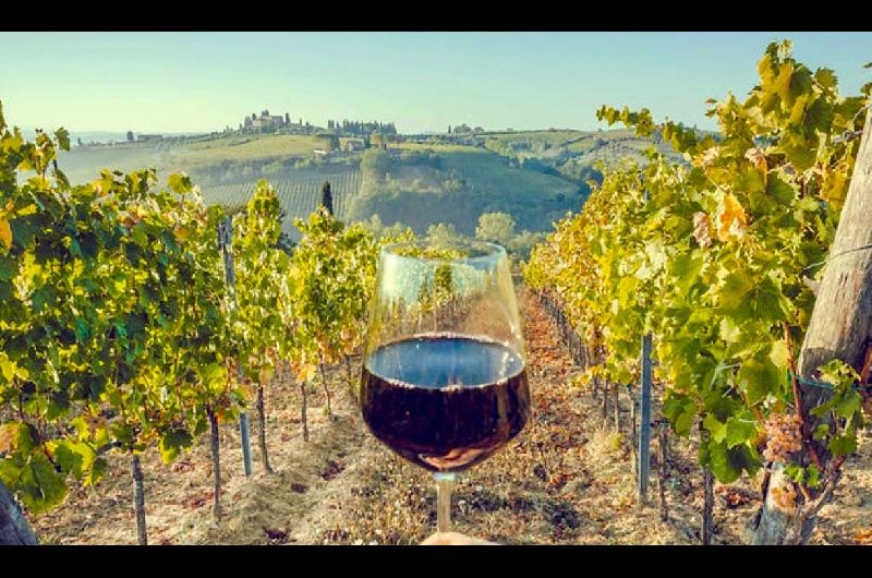 Tomar un vino en la Toscana italiana sale maacutes barato que en la Argentina- precios actualizados a junio 2025